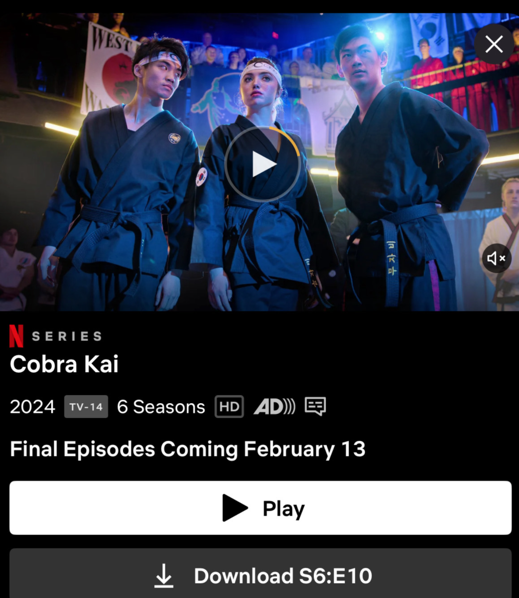 Cobra Kai