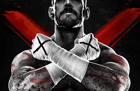 Picture of CM Punk in WW13