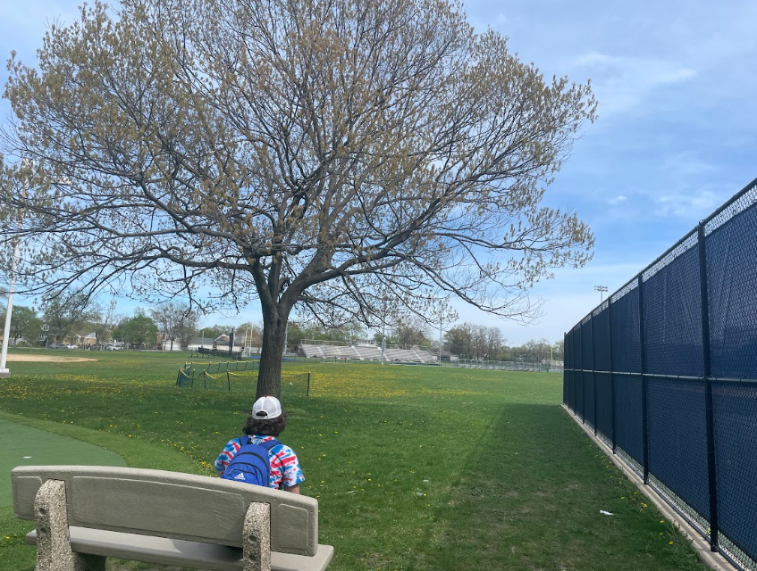 A Bright Future Ahead: The Aspiring Teachers of Chicago